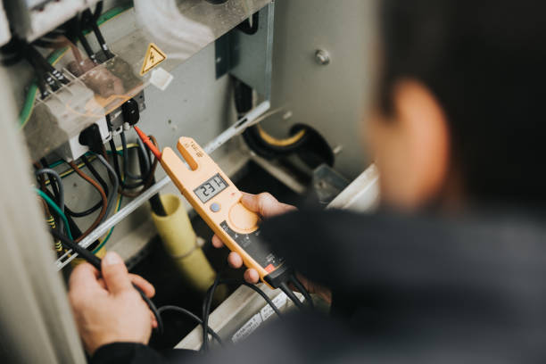 Best Residential Electrician Services  in Ladd, IL