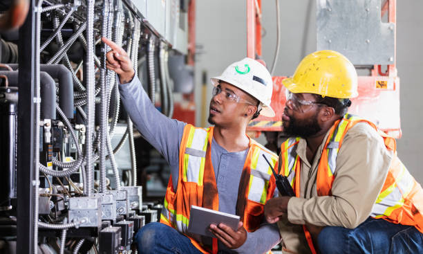 Best Electrician for Home Renovation  in Ladd, IL