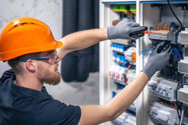 Best Industrial Electrical Services  in Ladd, IL